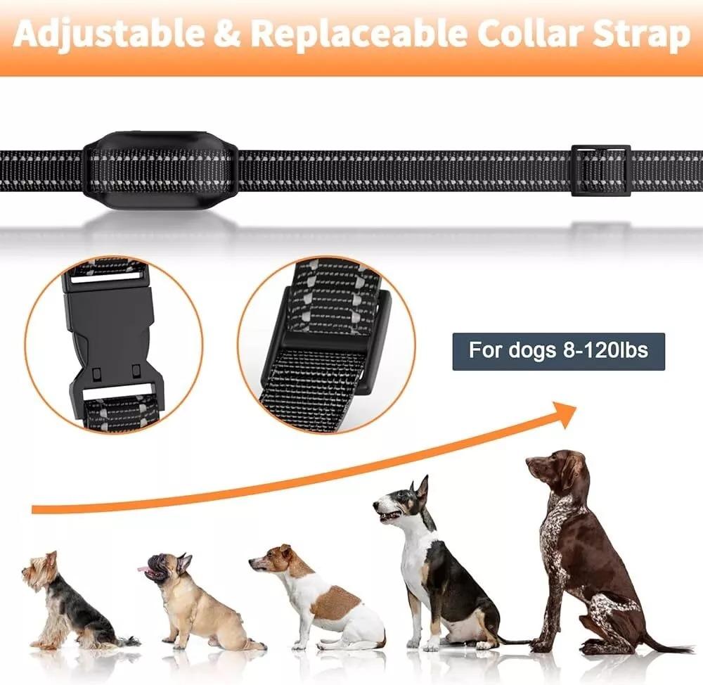 Pet Safe Remote Control Collar