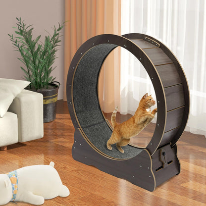 Fun Pet Running Wheel - Pexav