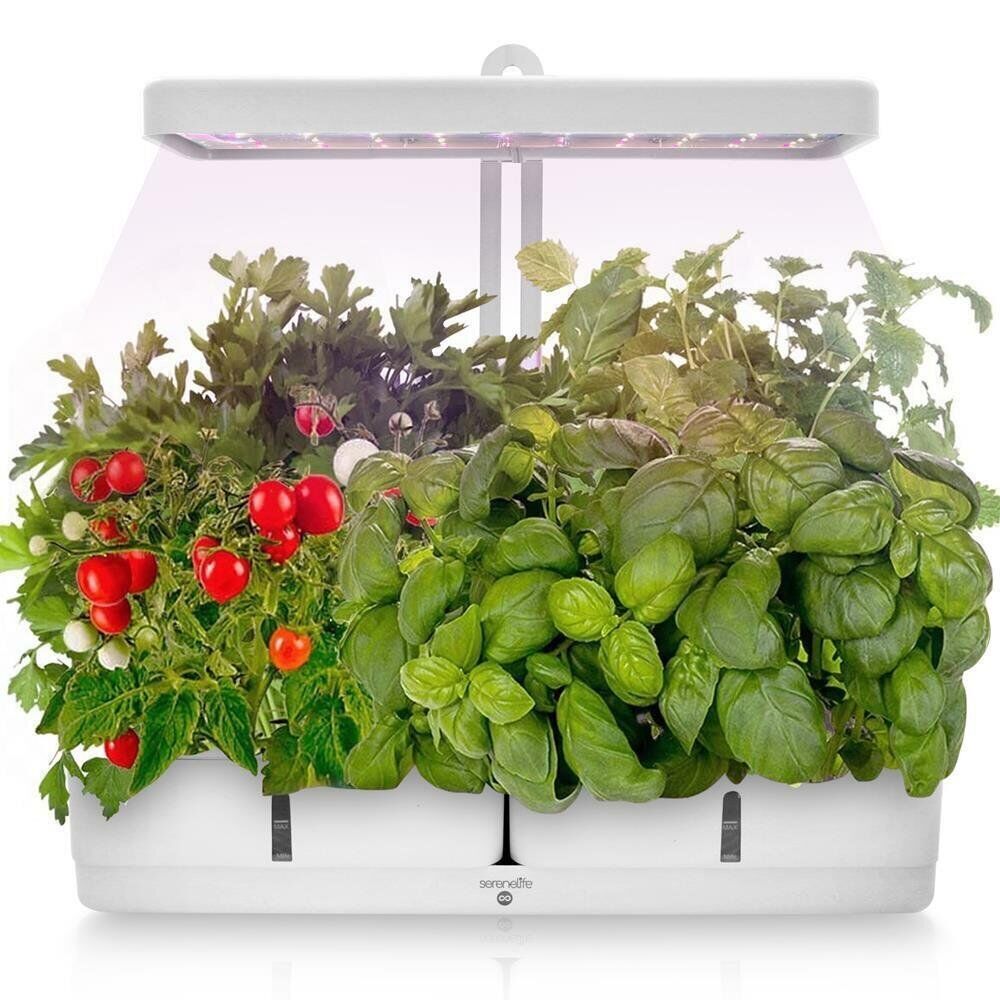 Smart Home Herb Growing Kit - Pexav