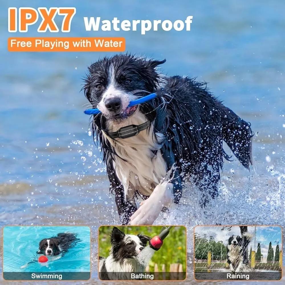 Pet Safe Remote Control Collar