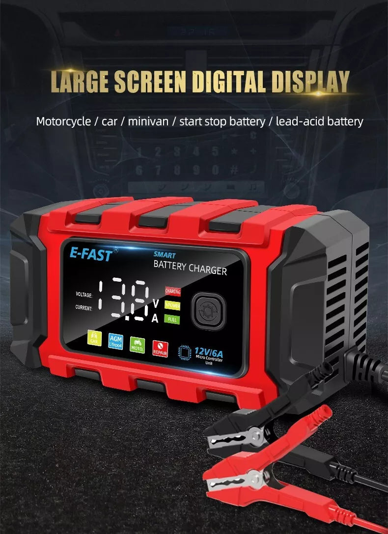 Advanced Auto Battery Charger