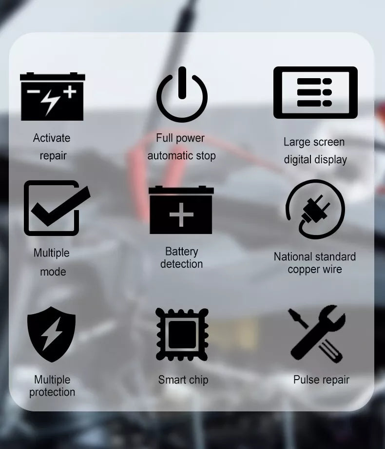 Advanced Auto Battery Charger