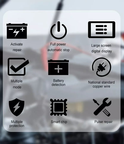 Advanced Auto Battery Charger