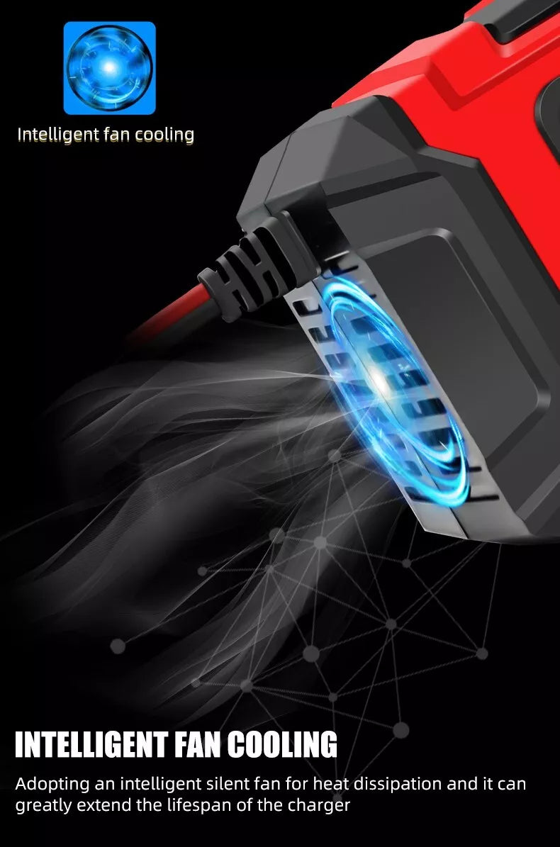 Advanced Auto Battery Charger
