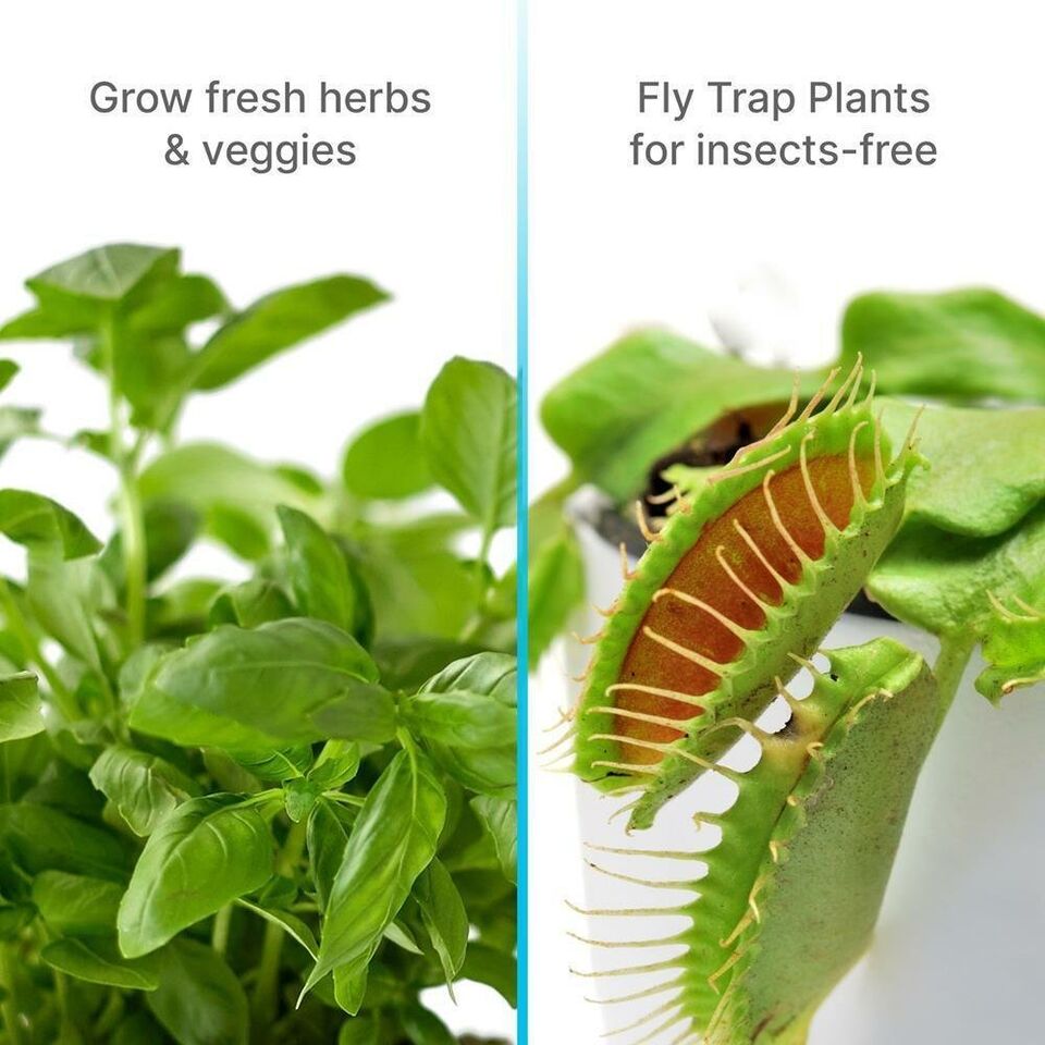 Smart Home Herb Growing Kit