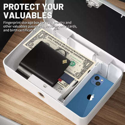 Biometric Lock Box