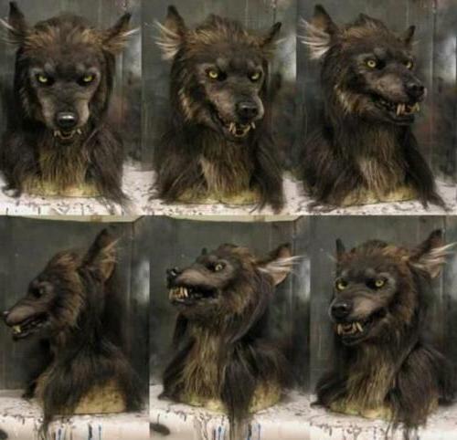 Spooky Wolf Halloween Mask Costume Accessory