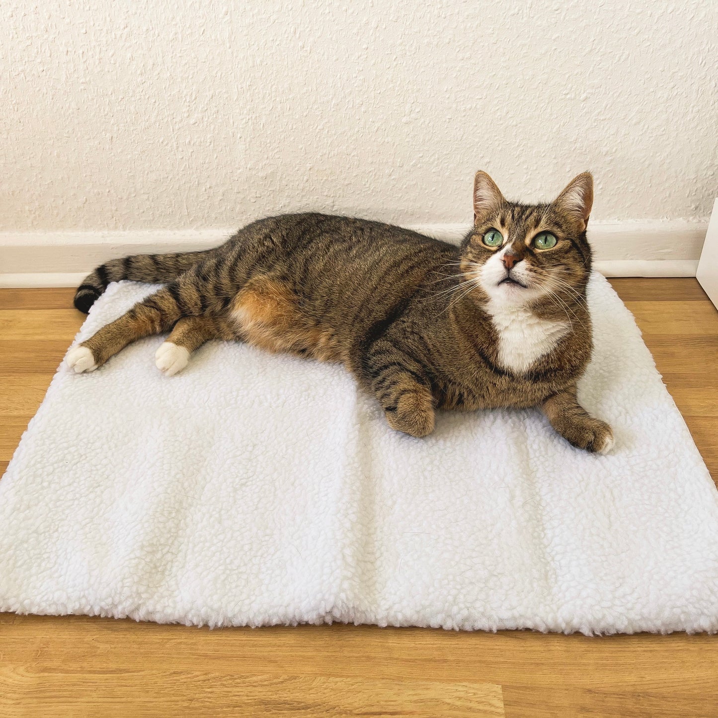 Cozy Heated Pet Bed - Pexav