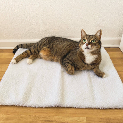 Cozy Heated Pet Bed - Pexav