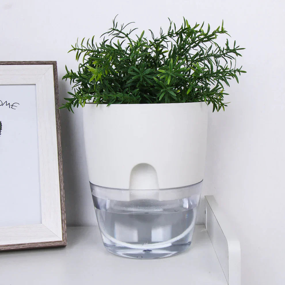 Self-Watering Plant Pot - AquaBloom-Gray-S-Nora Luxe