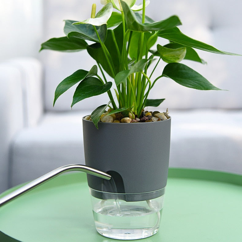 Automatic Watering Flower Planter - AquaBloom - Pexav