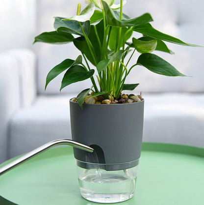 Automatic Watering Flower Planter - AquaBloom - Pexav
