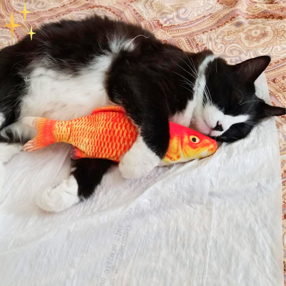 Set of 4 Moving Fish Toys for Cats - FitFish-Nora Luxe