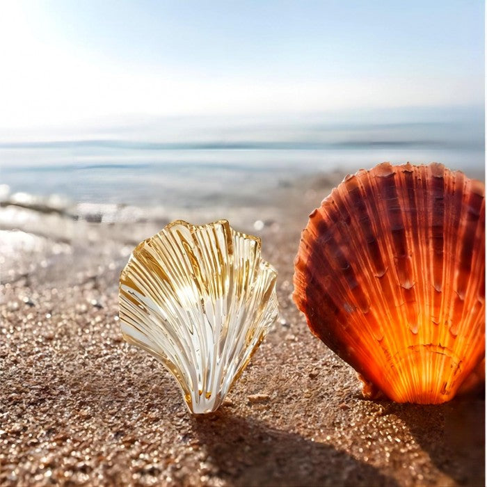 Modern Shell Glass Wall Light – Minimalist Coastal Sconce for Bedroom or Hallway