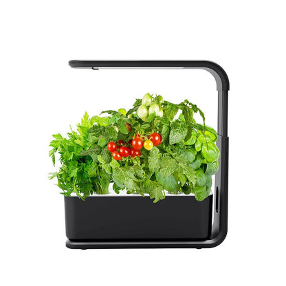 Slim Hydroponic Plant System for Indoors - GreenBloom Hydro-Black-Nora Luxe