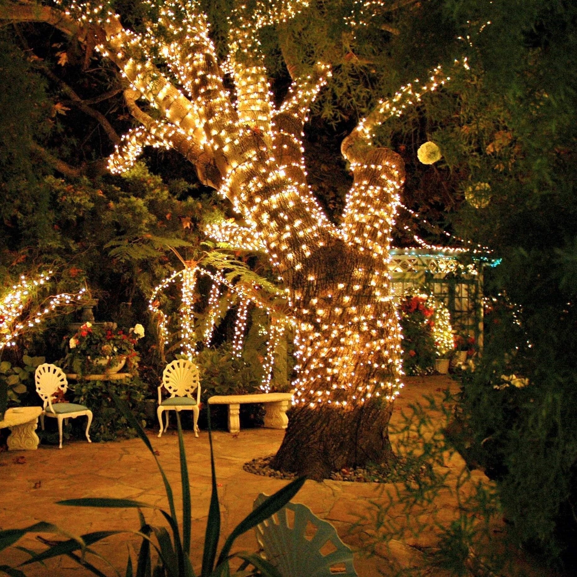 Solar Energy Ambient Lighting - SoliGlow-Warm-196.85 inches-Nora Luxe