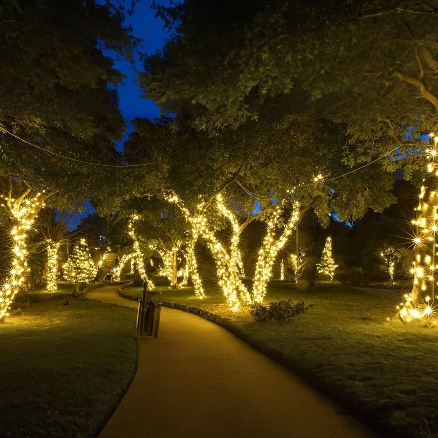 Solar Energy Ambient Lighting - SoliGlow-Warm-196.85 inches-Nora Luxe