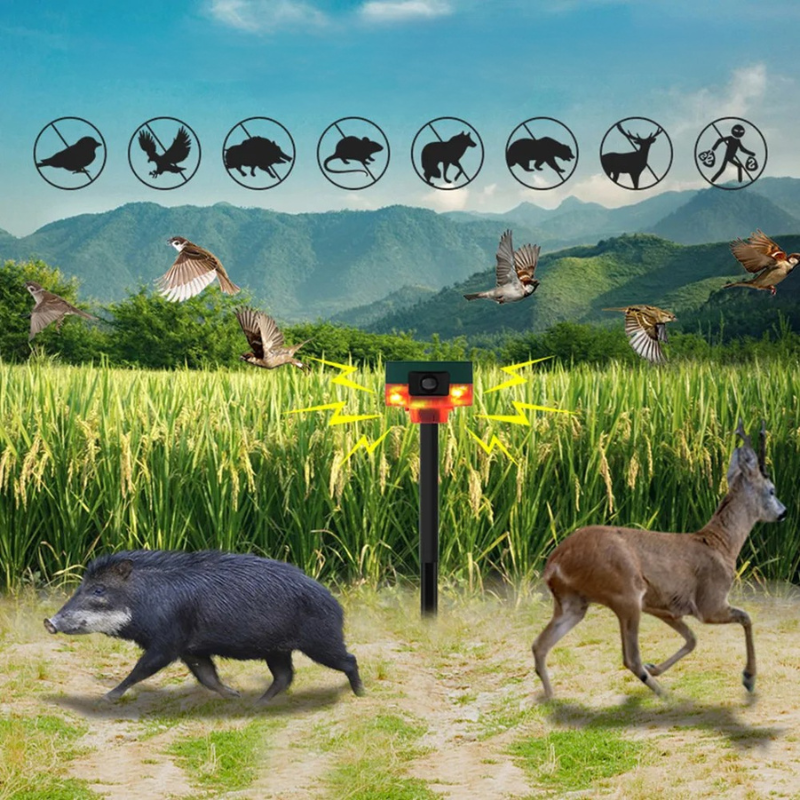 Outdoor Motion Activated Bird Repellent Lamp - Pexav