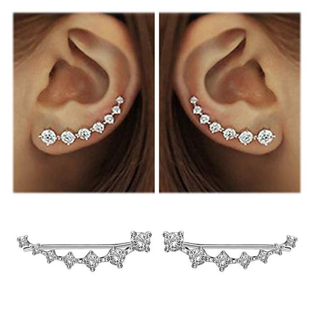 Shiny Drop Earrings - Pexav