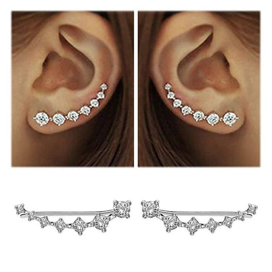 Shiny Drop Earrings - Pexav