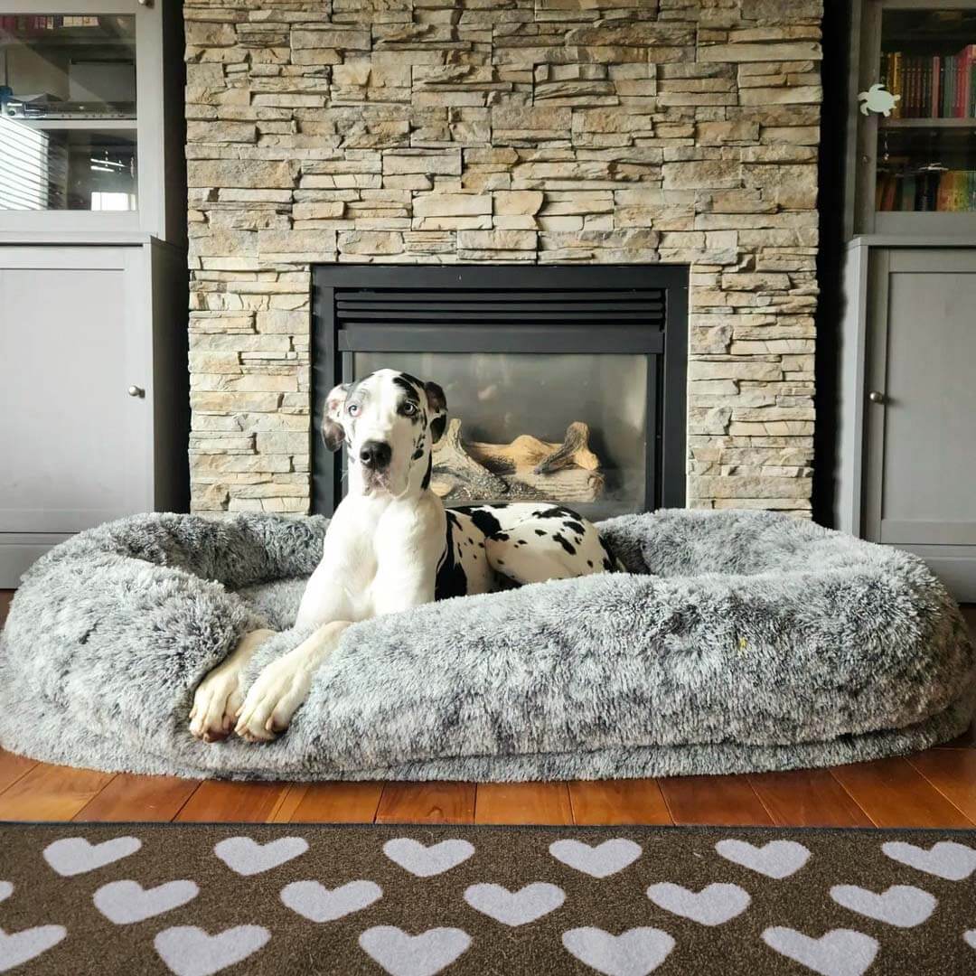 Extra Large Plush Pet Oval Bed for Humans Dogs