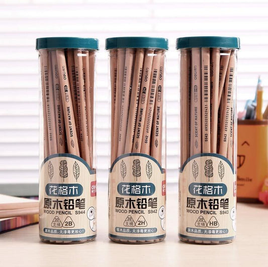 Classic 10 Piece Black Lead Pencils Set - Pexav
