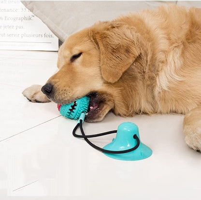 Sturdy Dog Pulling Rope - PlayPaw-Blue + Pink-Nora Luxe