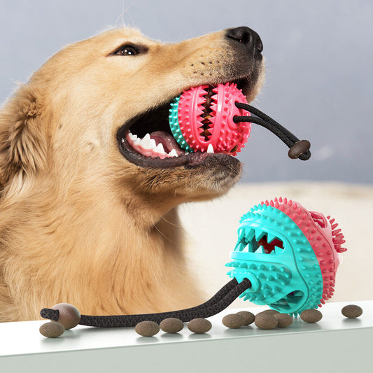 Durable Pet Tug of War Rope - Pexav