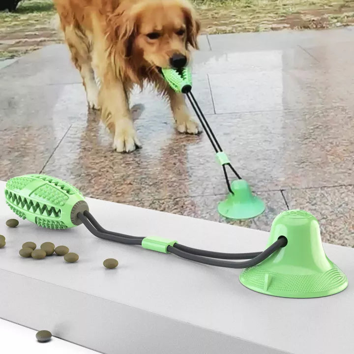 Sturdy Dog Pulling Rope - PlayPaw-Green-Nora Luxe