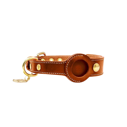 Pet Safe Bluetooth Collar Tracker - Pexav