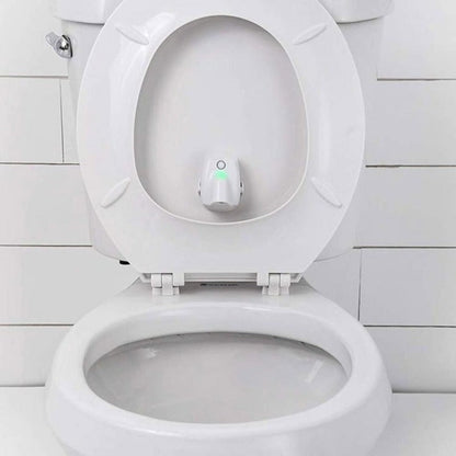 Colorful Automatic Potty Night Light