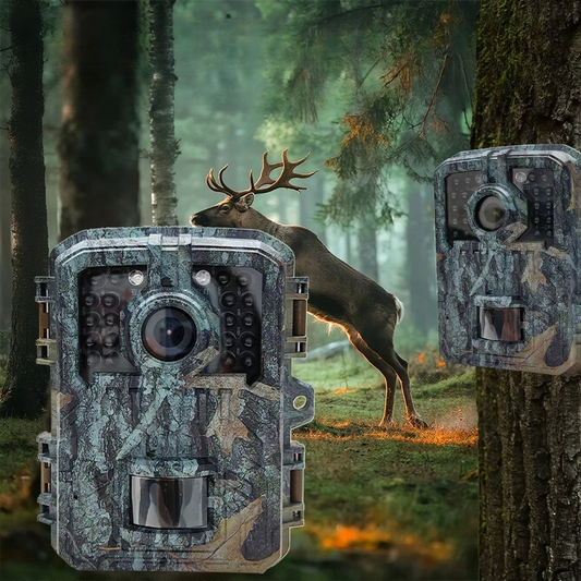 Compact 16MP Wildlife Trail Camera with Motion Detection - Pexav