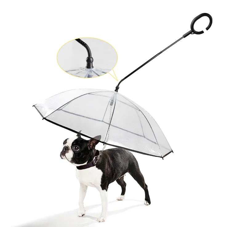 Waterproof Clear Pet Umbrella - Pexav