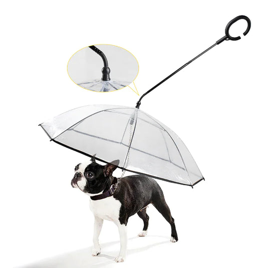 Waterproof Clear Pet Umbrella - Pexav