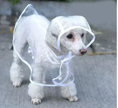 Transparent Waterproof Raincoat for Dogs - DryPaw-White-XS-Nora Luxe