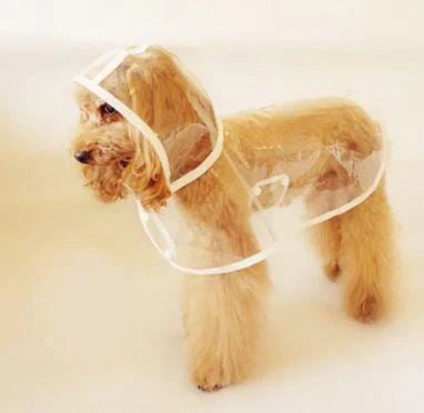 Transparent Waterproof Raincoat for Dogs - DryPaw-White-XS-Nora Luxe