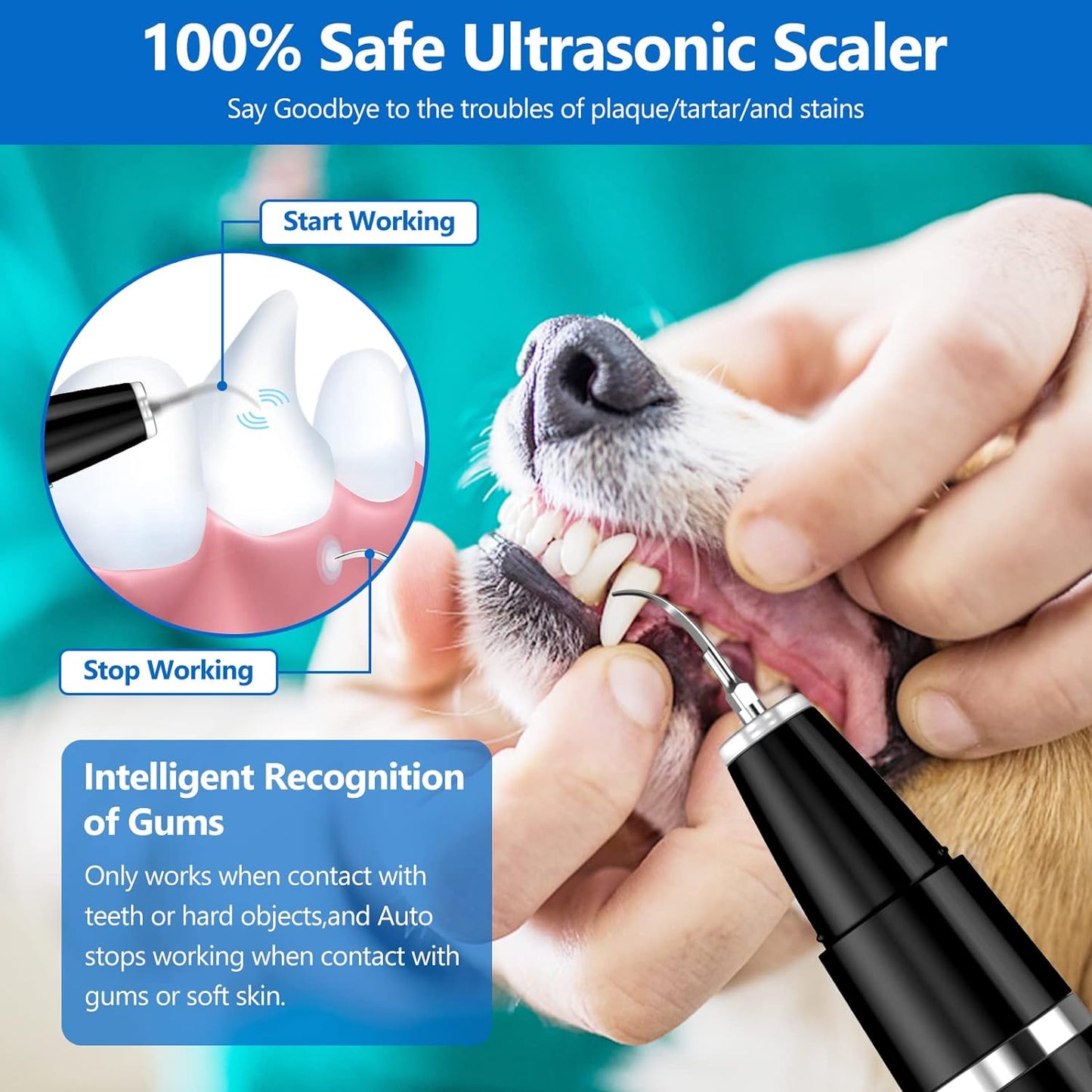 Ultrasonic Tooth Cleaning Set for Pets - BuddyCare-Nora Luxe