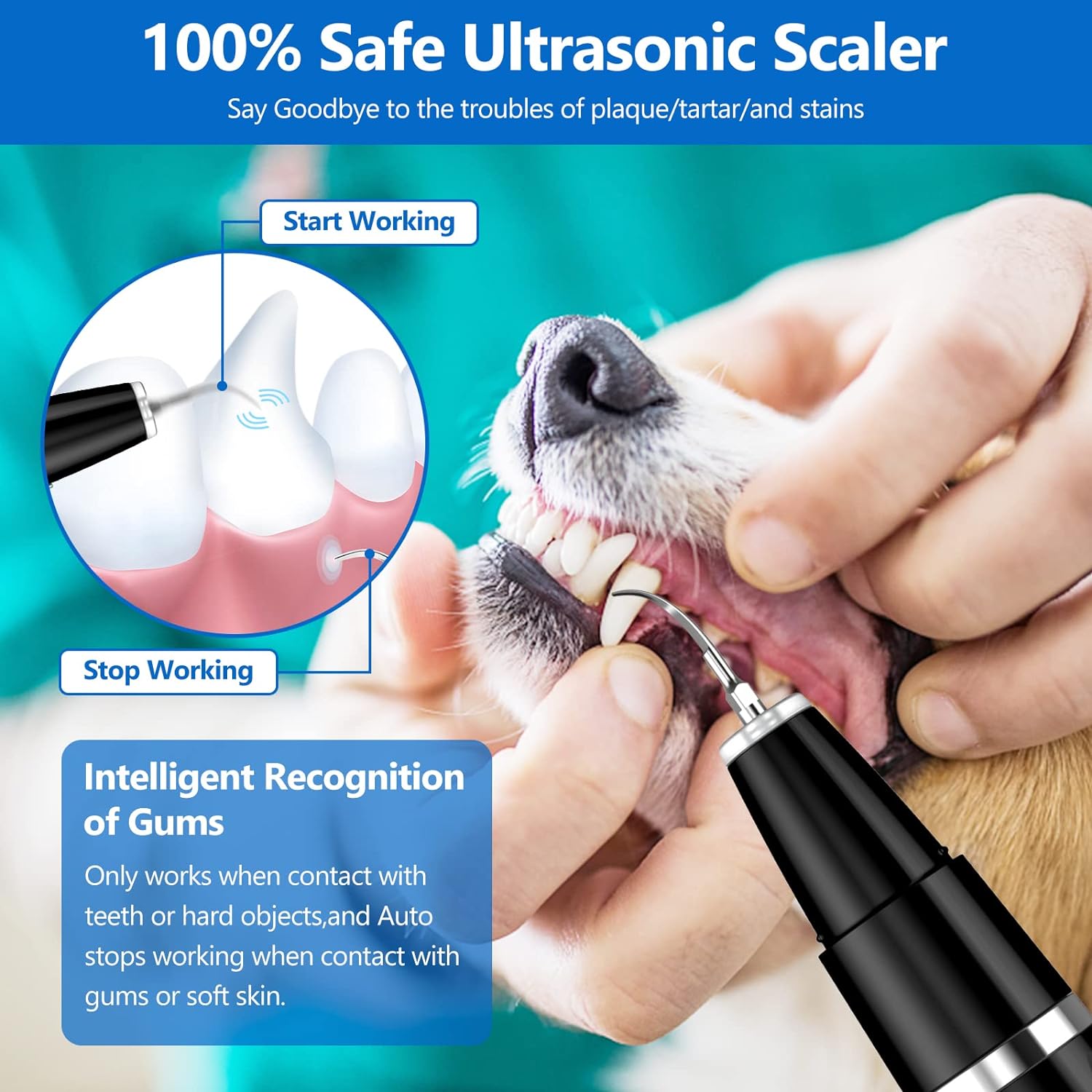 Ultrasonic Tooth Cleaning Set for Pets - BuddyCare-Nora Luxe
