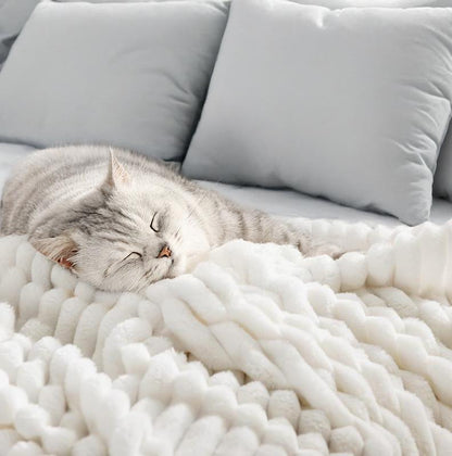 Cat sleeping on a fluffy white blanket with a gray couch in the background