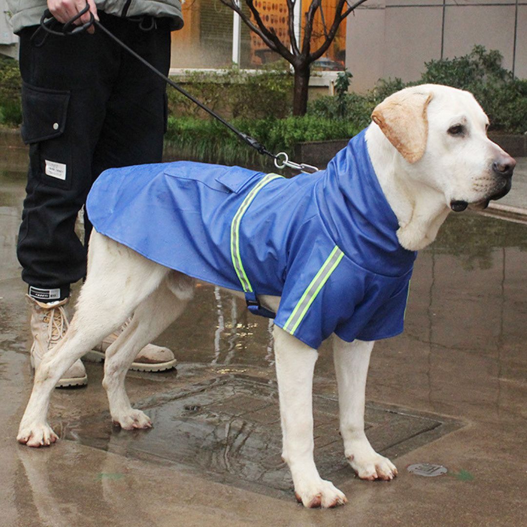 Waterproof Pet Jacket - StormPaw - Pexav