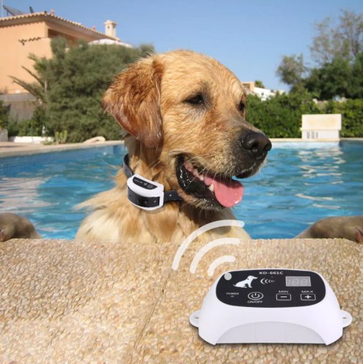 Pet Containment System Rechargeable Collar Trainer - Pexav