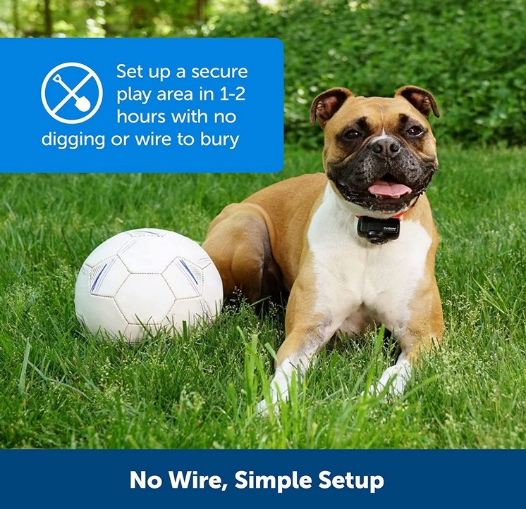 Pet Containment System Rechargeable Collar Trainer