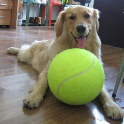 Large Dog Tennis Ball - Extra Big Pet Toy - Pexav